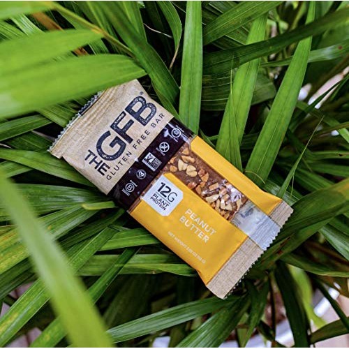 The Gfb Gluten Free Protein Bars, Peanut Butter, 2.05 Ounce Pac