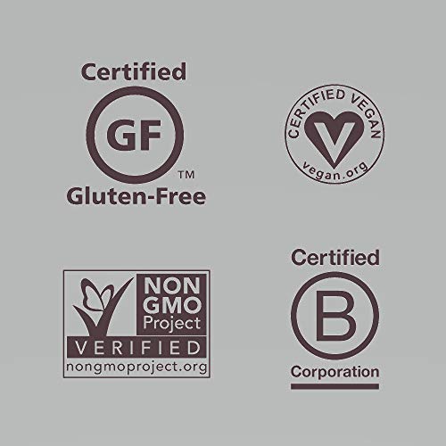 The Gfb Gluten Free Protein Bites, Peanut Butter, 4 Ounce,Vegan,