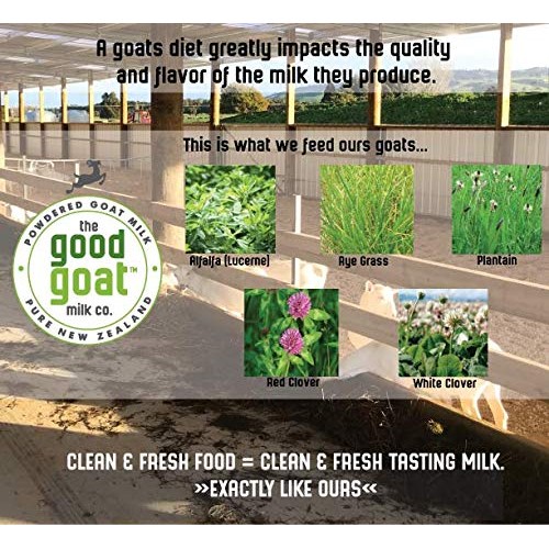 New Zealand Full Cream Goat Milk Powder Natural - 14Oz