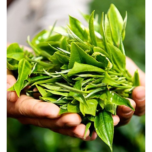 Grindstone | Organic Caramelized Pear Tea | Fairtrade Certified