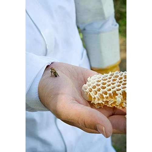 The Honey Jar - 48Oz 3Lbs Glass Jar Of Pure Raw Clover Honey |