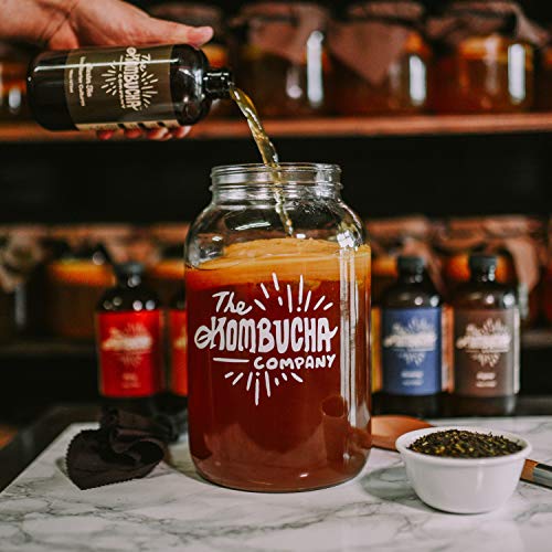 The Kombucha Company Large Kombucha Scoby |16 Ounce Bottle Of St