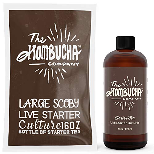 The Kombucha Company Large Kombucha Scoby |16 Ounce Bottle Of St