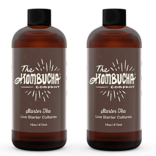 The Kombucha Company Large Scoby Starter Kit – 16 Oz Bottle Liqu