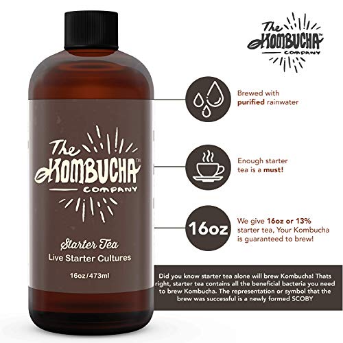 The Kombucha Company Large Scoby Starter Kit – 16 Oz Bottle Liqu