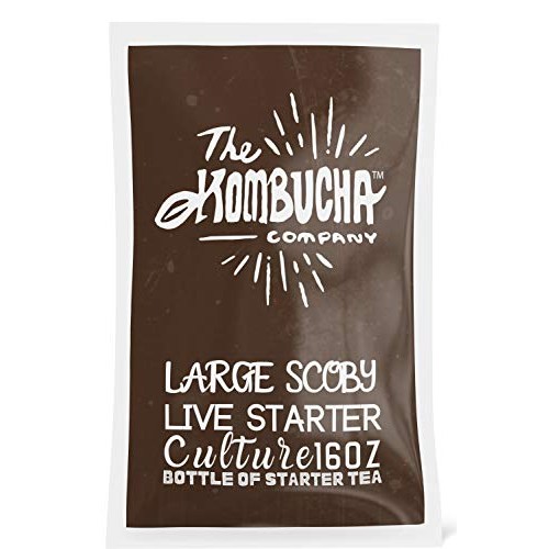 The Kombucha Company Large Scoby Starter Kit – 16 Oz Bottle Liqu