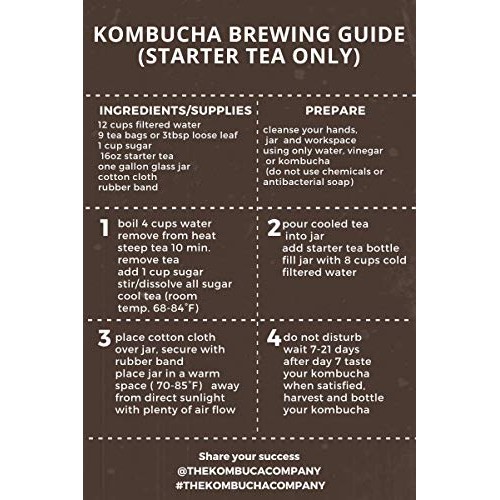 The Kombucha Company Starter Tea – 16 Oz Bottle Liquid Organic L