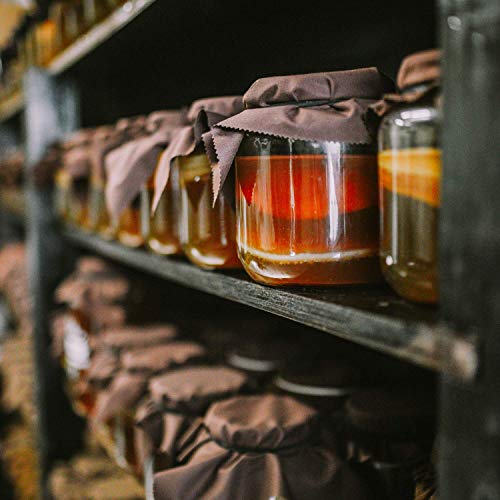 The Kombucha Company Starter Tea – 16 Oz Bottle Liquid Organic L