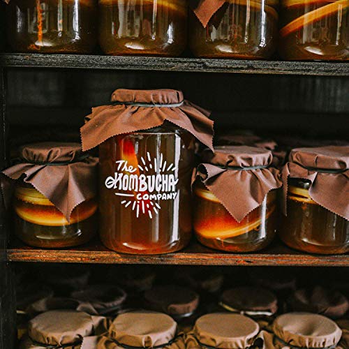 The Kombucha Company Starter Tea – 16 Oz Bottle Liquid Organic L