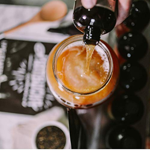 The Kombucha Company Starter Tea – 16 Oz Bottle Liquid Organic L