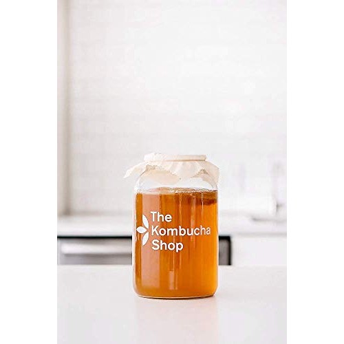 Original Kombucha Tea Blend