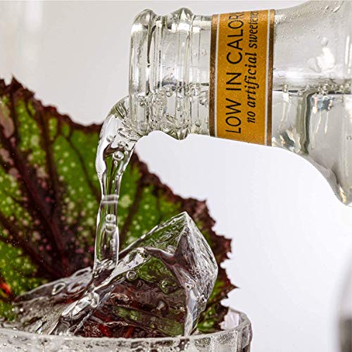 London Essence Company Tonic Water - Perfect Mixer For Your Prem