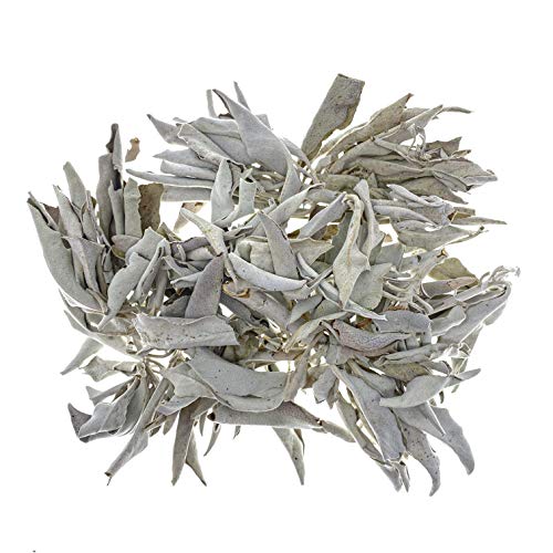 The Magic Is In You - 1 Ounce California White Sage Loose Leaves