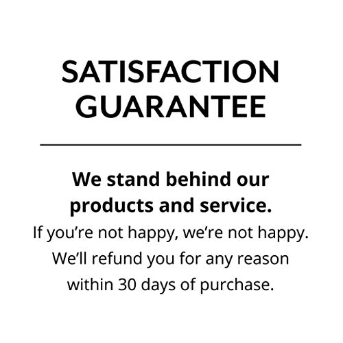 The Only Bean - Organic Black Bean Spaghetti Pasta, Gluten Free