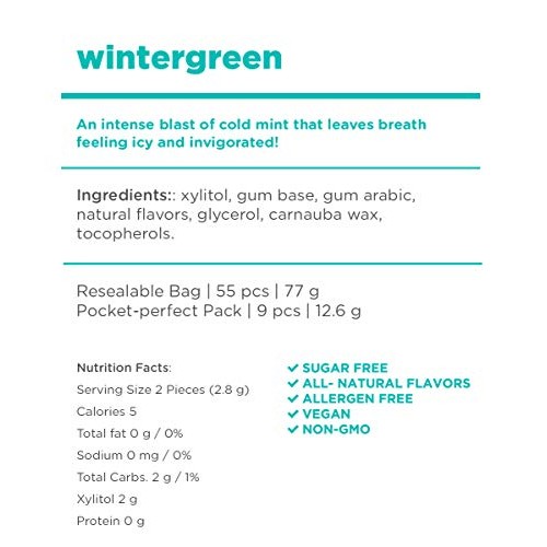 Pur 100% Xylitol Chewing Gum, Wintergreen, Sugar-Free + Aspartam