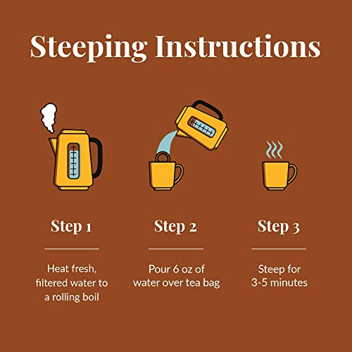 The Republic of Tea Pumpkin Spice, 50 Tea Bags