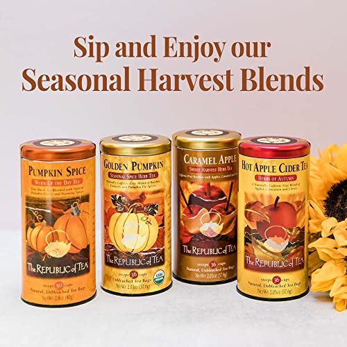 The Republic of Tea Pumpkin Spice, 50 Tea Bags