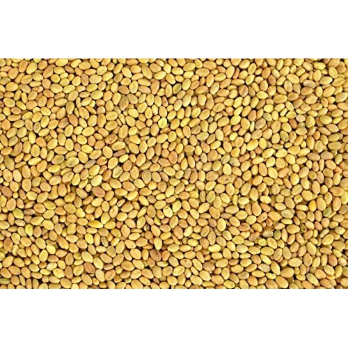 3000 Seeds Yellow Sweet Clover for Planting Melilotus Officinali...