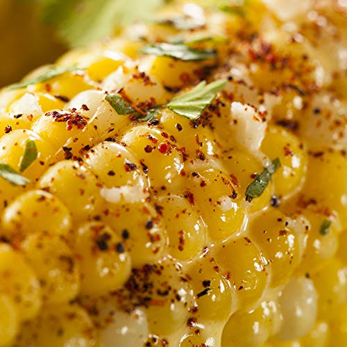 The Spice Lab - Mexican Street Corn Seasoning - 5 Oz Shaker Jar