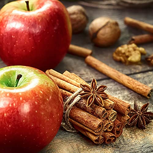 The Spice Lab | Organic Aa 2.75 Premium Indonesian Cinnamon Stic