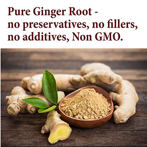 The Spice Way Ginger Powder- 8 Oz A Pure Dry Ground Powdered