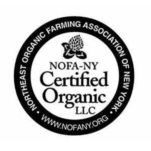 Non-Gmo Certified Organic Hard Wheat Berries For Wheatgrass Juic