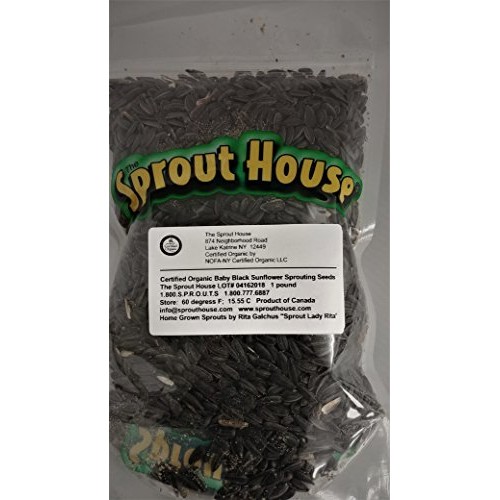 The Sprout House Organic Sprouting Seeds Baby Black Sunflower 1 Lb