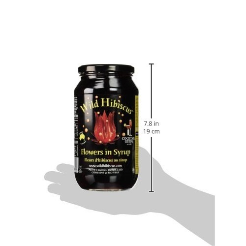 Wild Hibiscus Flower Company Syrup, 2.5 Pound