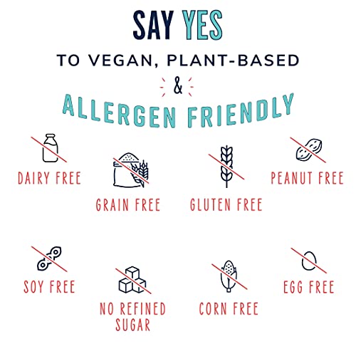 The YES Bar – Dark Chocolate Chip – Plant Based Protein, Decaden...