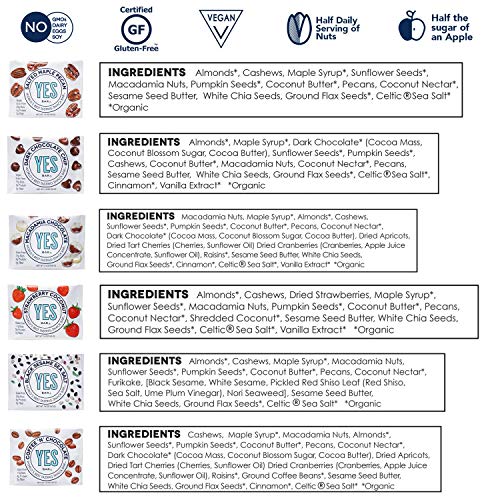 Yes Bar - 6 Bar Sampler Pack – 6Count Plant Based Protein, Dec