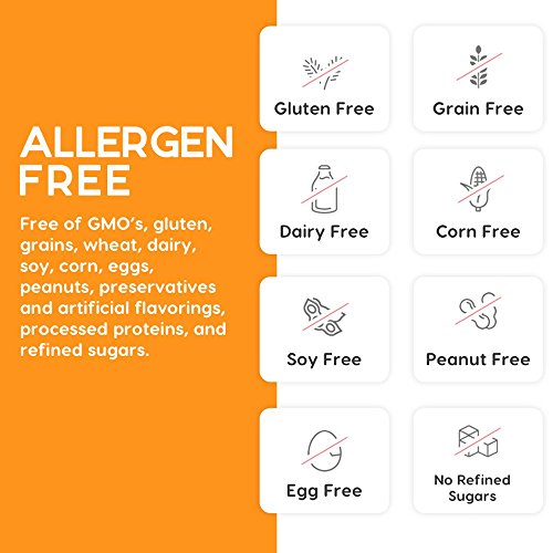 Yes Bar - 6 Bar Sampler Pack – 6Count Plant Based Protein, Dec