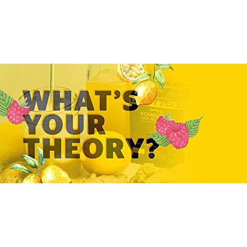 Theory Of Kombucha Powdered Drink Mix, Gut Health +, 12 Single-S