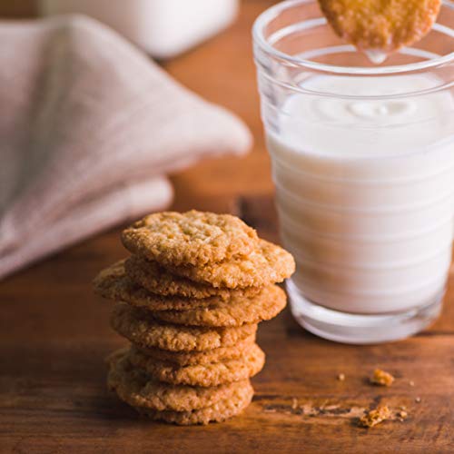 Thinsters Cookies, Toasted Coconut, 16 Oz Pack Of 2, Non-Gmo,