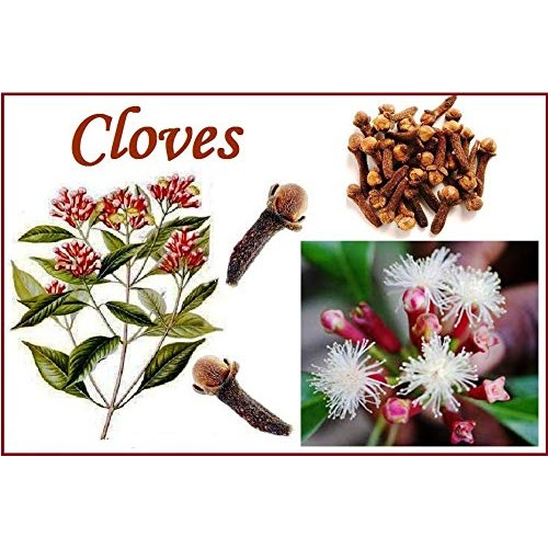 Thousand Leaves Nature Cloves 4Oz