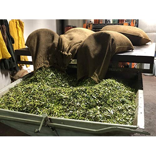 Théa Premium Greek Extra Virgin Olive Oil 750Ml I Current Harv