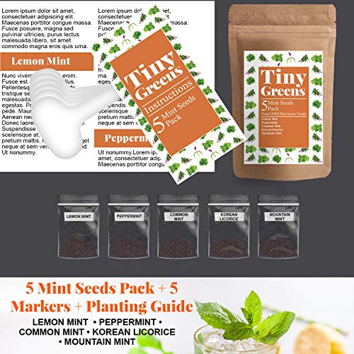 5 Mint Seeds Garden Pack - Peppermint, Lemon Mint, Mountain Mint...