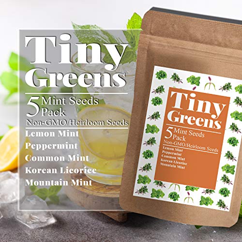 5 Mint Seeds Garden Pack - Peppermint, Lemon Mint, Mountain Mint...