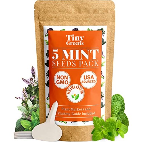 5 Mint Seeds Garden Pack - Peppermint, Lemon Mint, Mountain Mint...