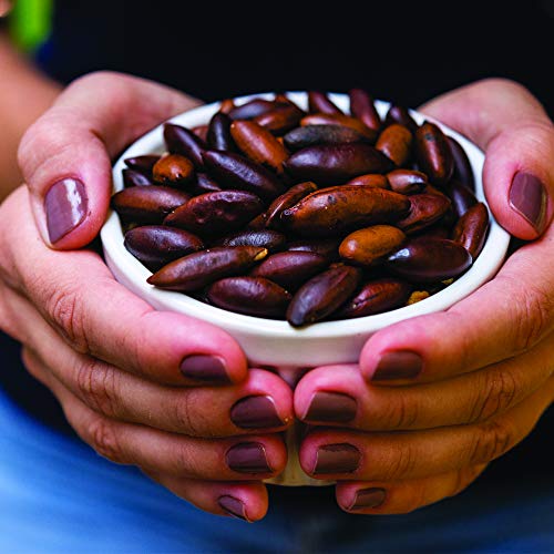 Baru Nuts Roasted, 10 Oz Resealable Bag | Crunchy And Delicious