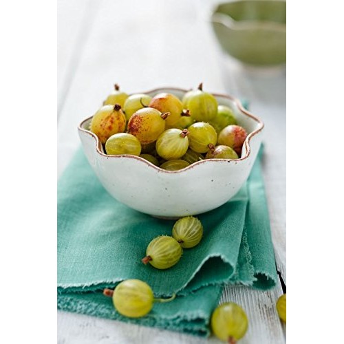 Tiptrees Gooseberry Preserve Packed In 12Oz Jar