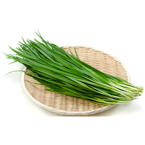 TKE Farms - Garlic Chive Seed for Planting, 1 Gram ≈ 250 Seeds, ...