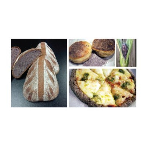 1lb. Organic, Sprouted Purple Corn Flour