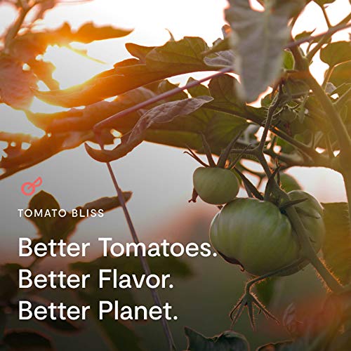 Gourmet Food Gift Box: 3 Jars Of Roasted Tomato Soup – Gifts For