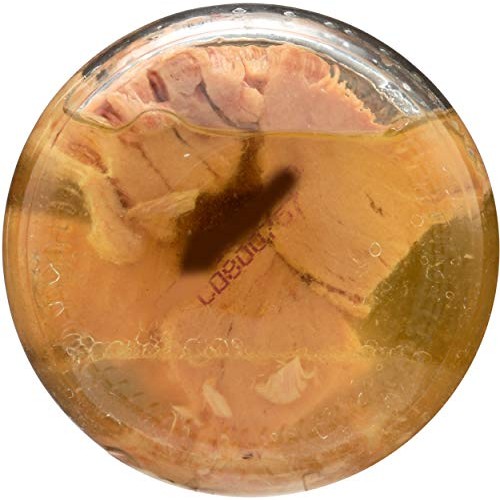 Tonnino Tuna Fillets In Olive Oil, 6.7 Oz