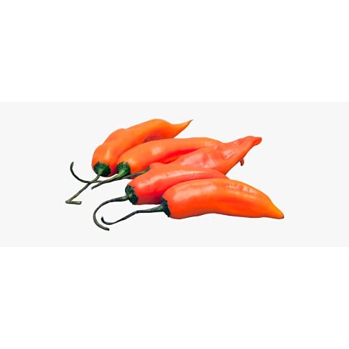 Tradiciones Andinas Aji Amarillo paste - Yellow chili paste 7.5 ...