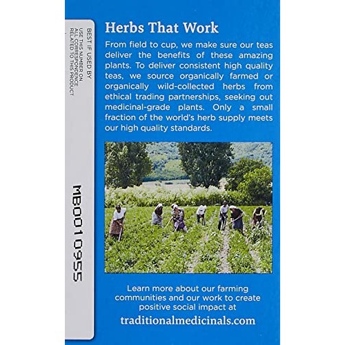 Traditional Medicinals Organic Cup of Calm Lavender Mint Herbal ...
