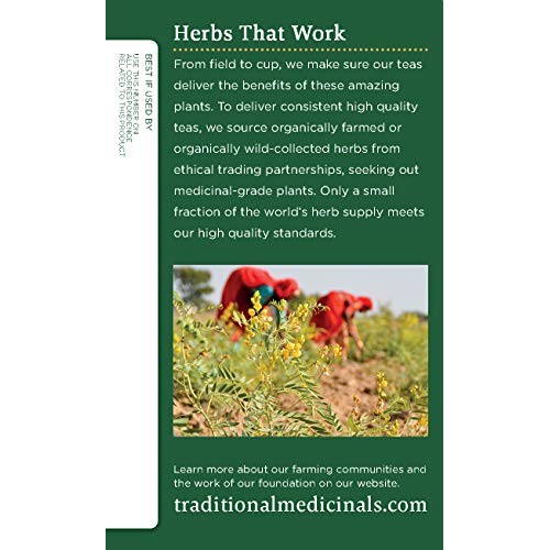 Traditional Medicinals Organic Fennel Tea, 16 Tea Bags