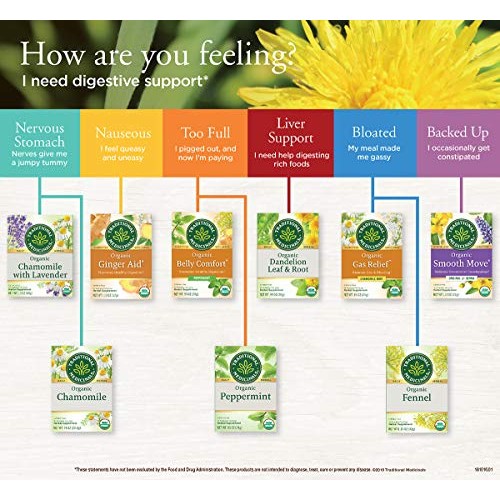 Traditional Medicinals Organic Fennel Tea, 16 Tea Bags