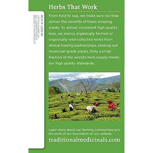 Traditional Medicinals Organic Green Tea Ginger Herbal Tea, Prom...