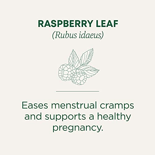 Traditional Medicinals Organic Raspberry Leaf Herbal Tea, Eases ...
